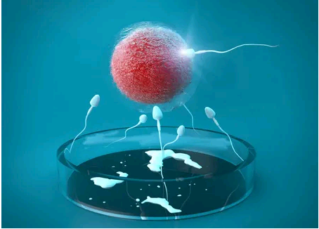 福州试管代生机构,试管婴儿单胎不可以做无创DNA筛查吗-上海供卵试管中心电话